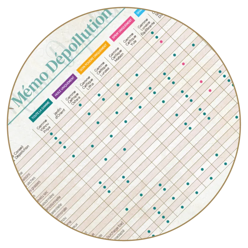 Mémo Dépollution
