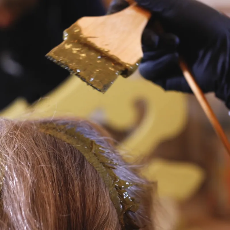 Formation Coloration Végétale Niveau I : Fondations