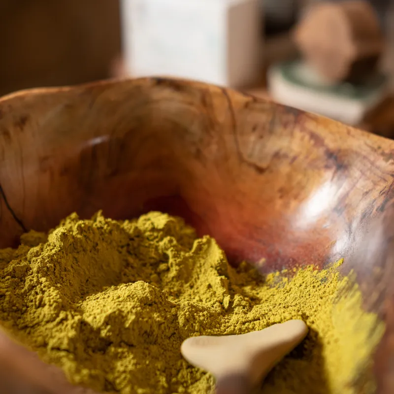 Formation Coloration Végétale Niveau I : Fondations