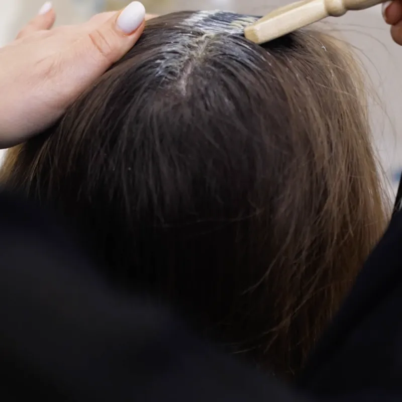 Formation Coloration Végétale Niveau III : Maîtrise