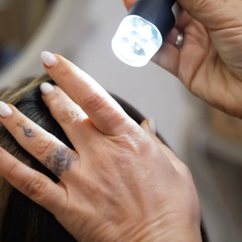 Formation Coloration Végétale Niveau III : Maîtrise