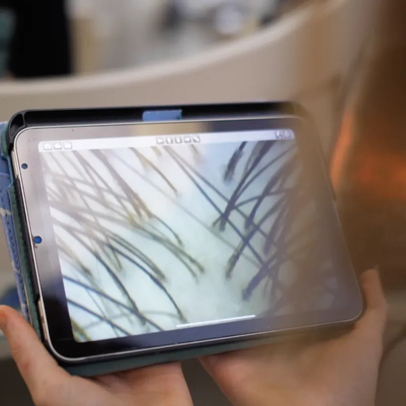 Formation Coloration Végétale Niveau III : Maîtrise