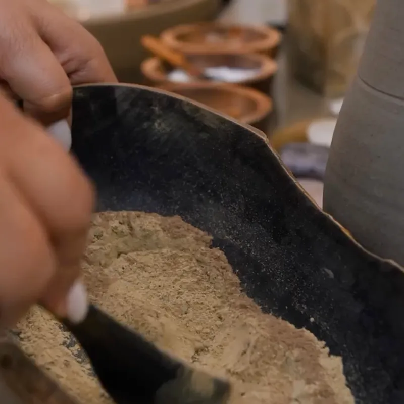 Formation Connaissance des Plantes en Coloration Végétale