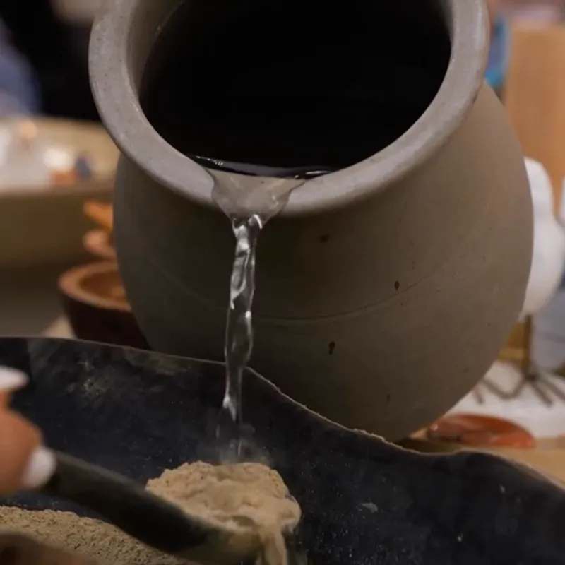Formation Connaissance des Plantes en Coloration Végétale