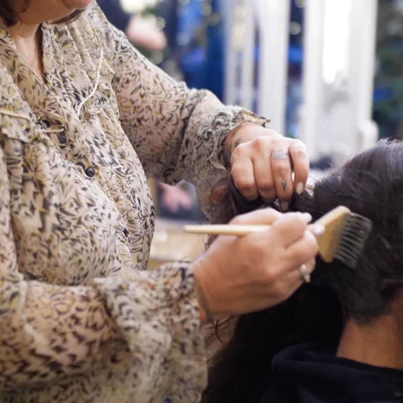 Formation Pratique en Coloration Végétale