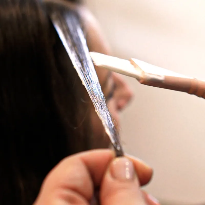 Formation Pratique en Coloration Végétale