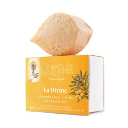 Shampoing Solide La Divine