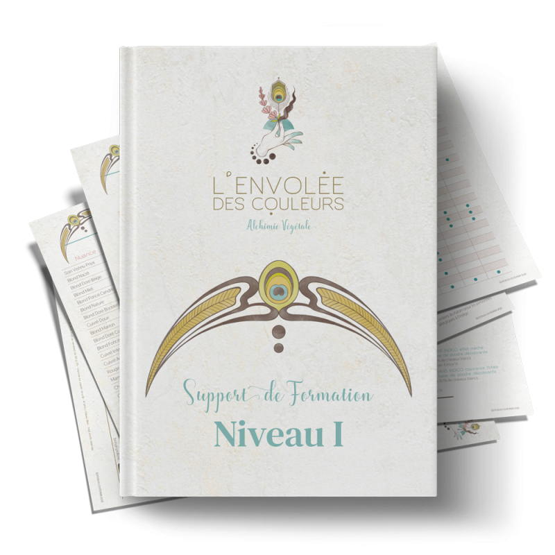 Pack Formation : Niveau I • Les Fondations