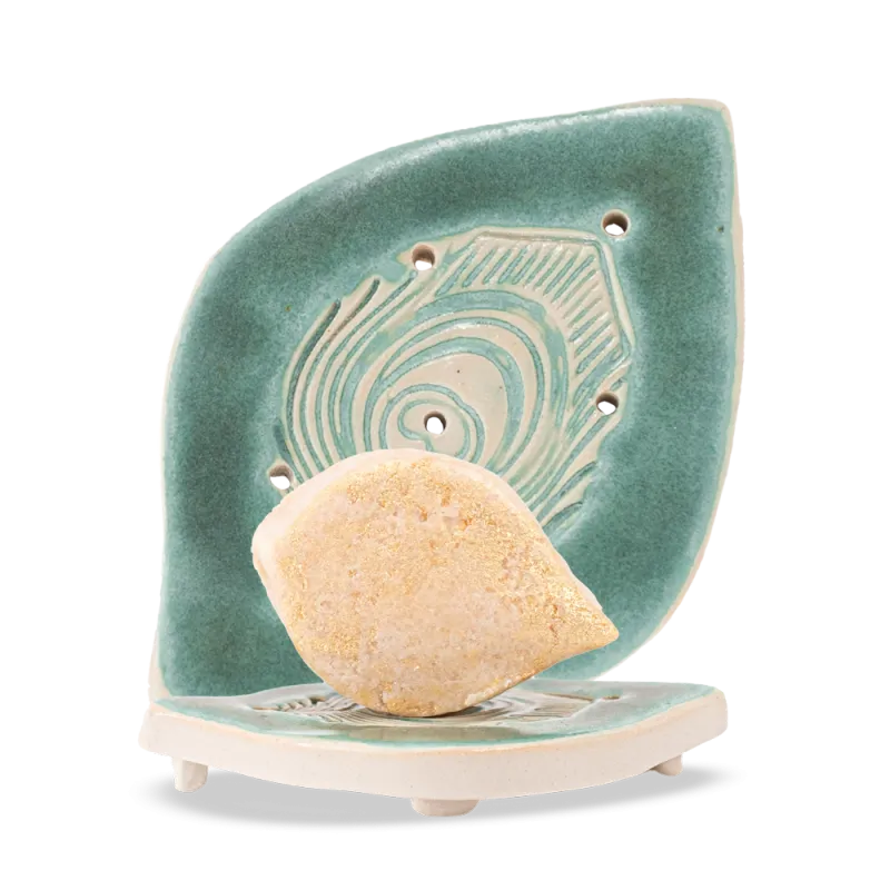 Support Shampooing Solide