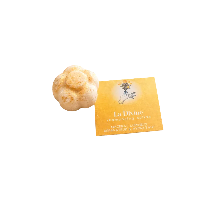 Mini Shampooing Solide La Divine